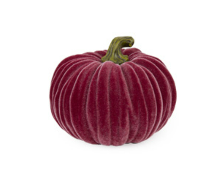 Velvet Pumpkin