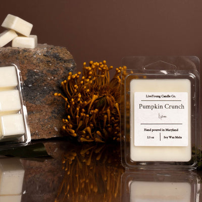 (Fall Scents) Wax Melts