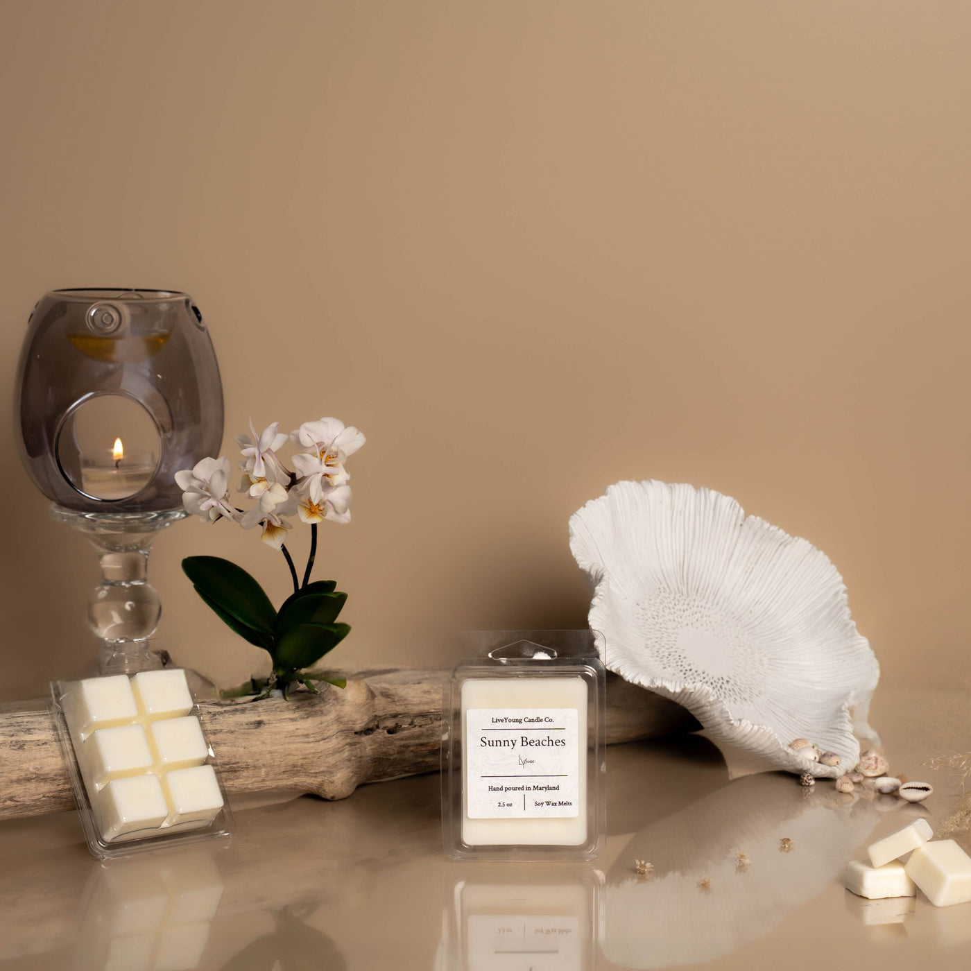 (Summer Scents) Wax Melts