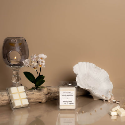 (Summer Scents) Wax Melts