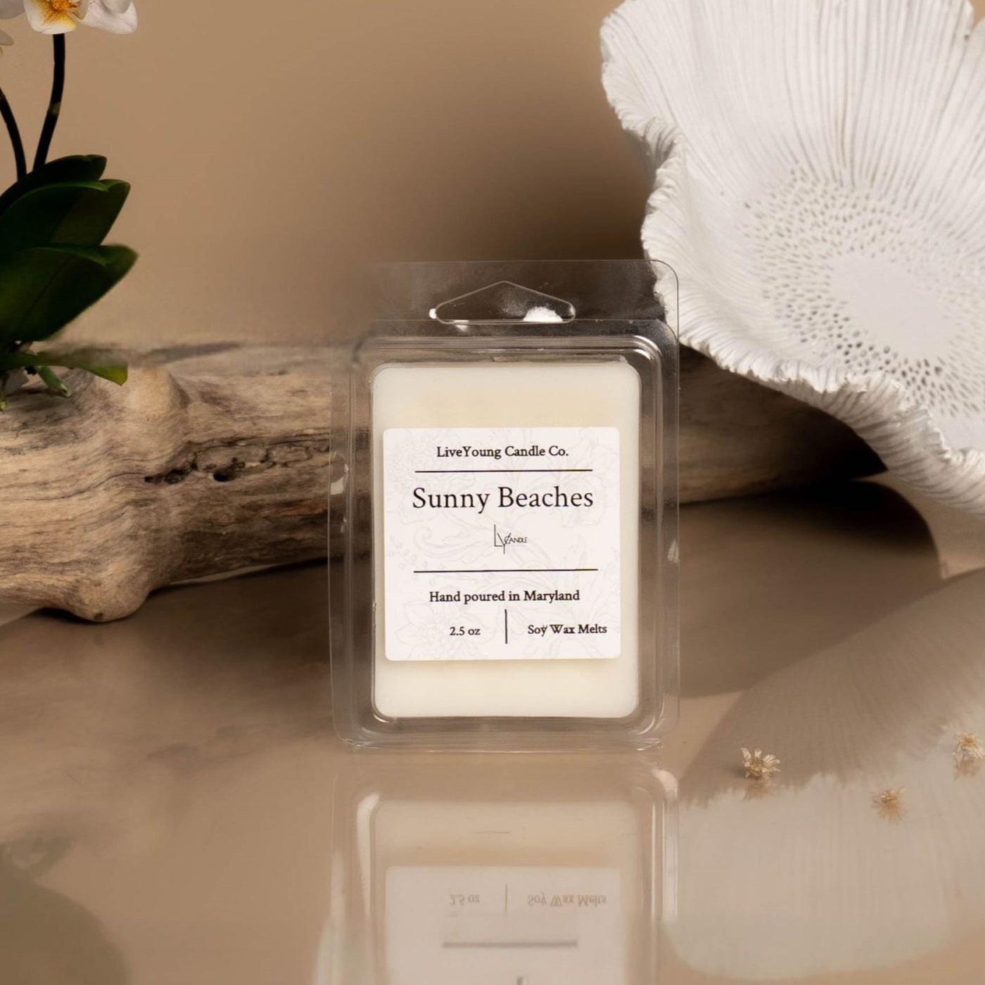 (Summer Scents) Wax Melts
