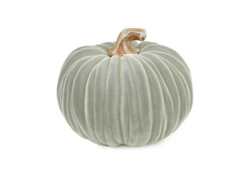 Velvet Pumpkin