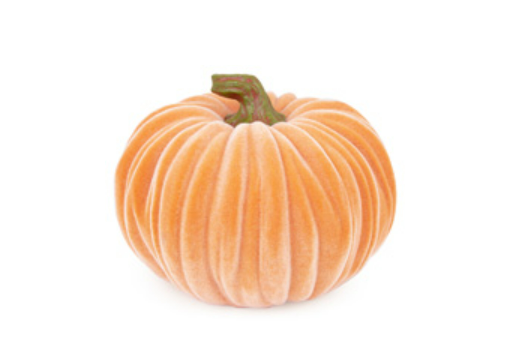 Velvet Pumpkin