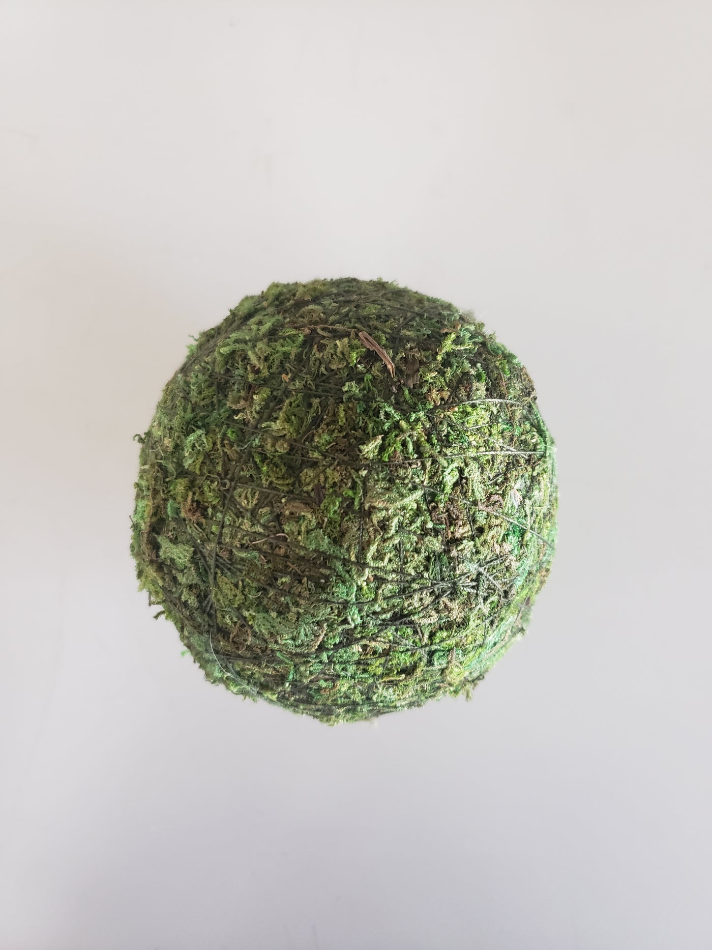 Moss Balls - 4 inch