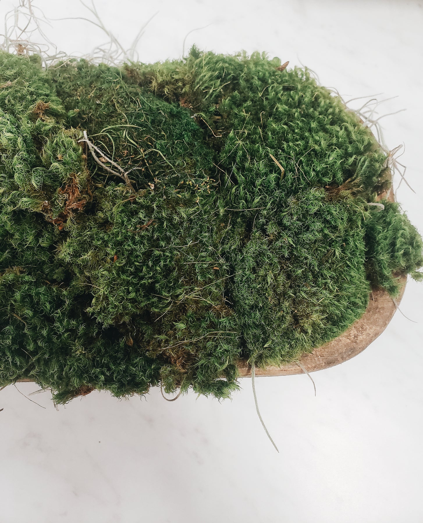 Carved Wooden Bowl Centerpiece with Lush Moss For Sale